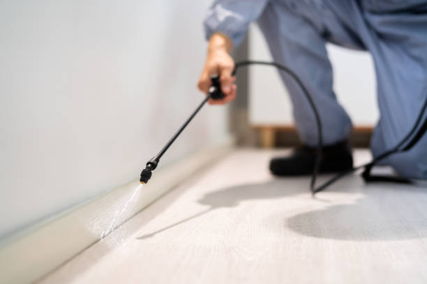 Licensed Termite Control service in Hampton, MD - Nex Pest Control