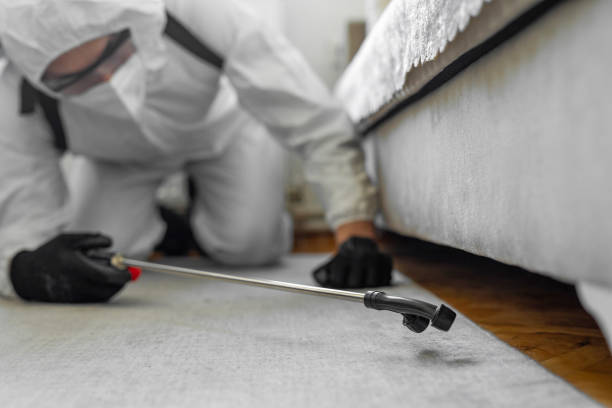 Professional Termite Control technician working in Hampton, MD
