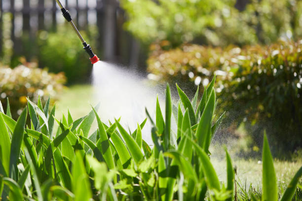 24/7 Emergency Termite Control experts in Hampton, MD