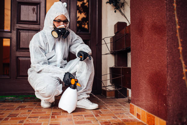 Reliable Termite Control contractor in Hampton, MD by Nex Pest Control